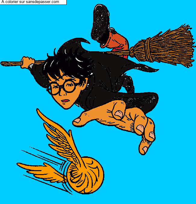 Harry Potter et le match de quidditch par un invit&eacute;