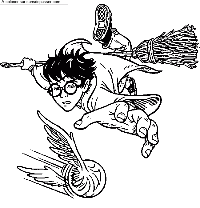 Harry Potter et le match de quidditch par un invit&eacute;