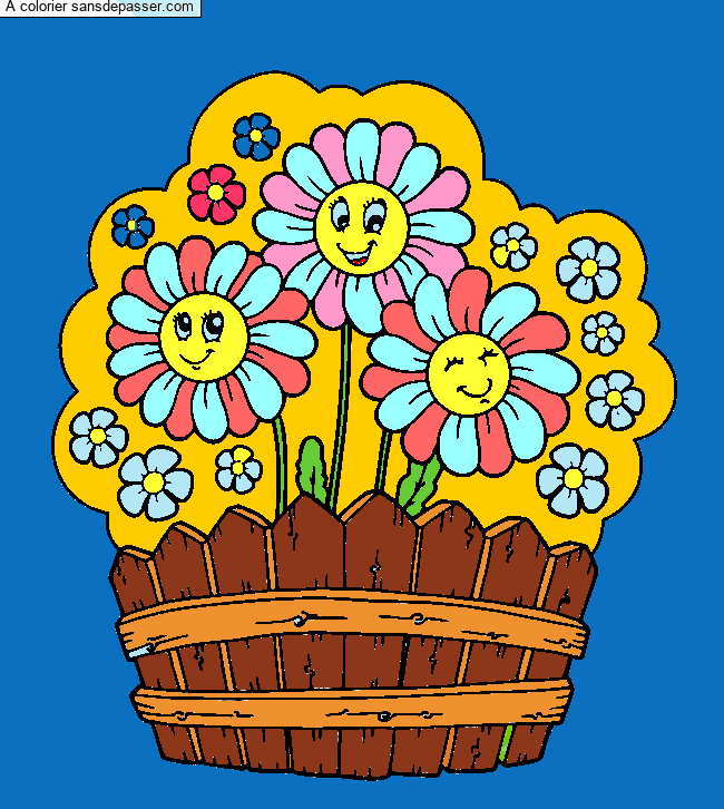 Jolies marguerites par un invit&eacute;