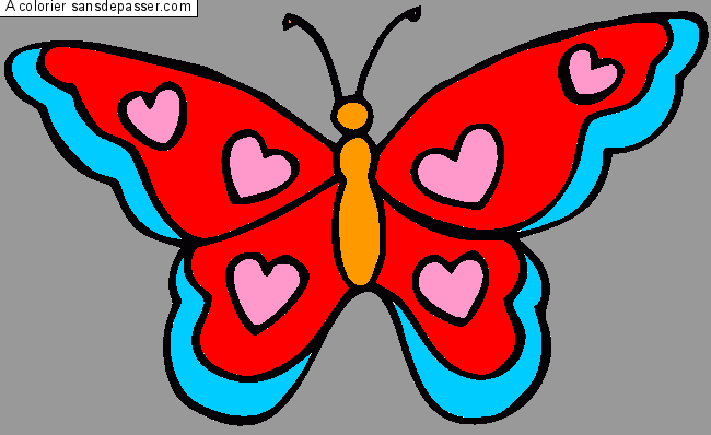 Joli Papillon par Pakpak