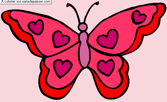 Joli Papillon par un invit&eacute;