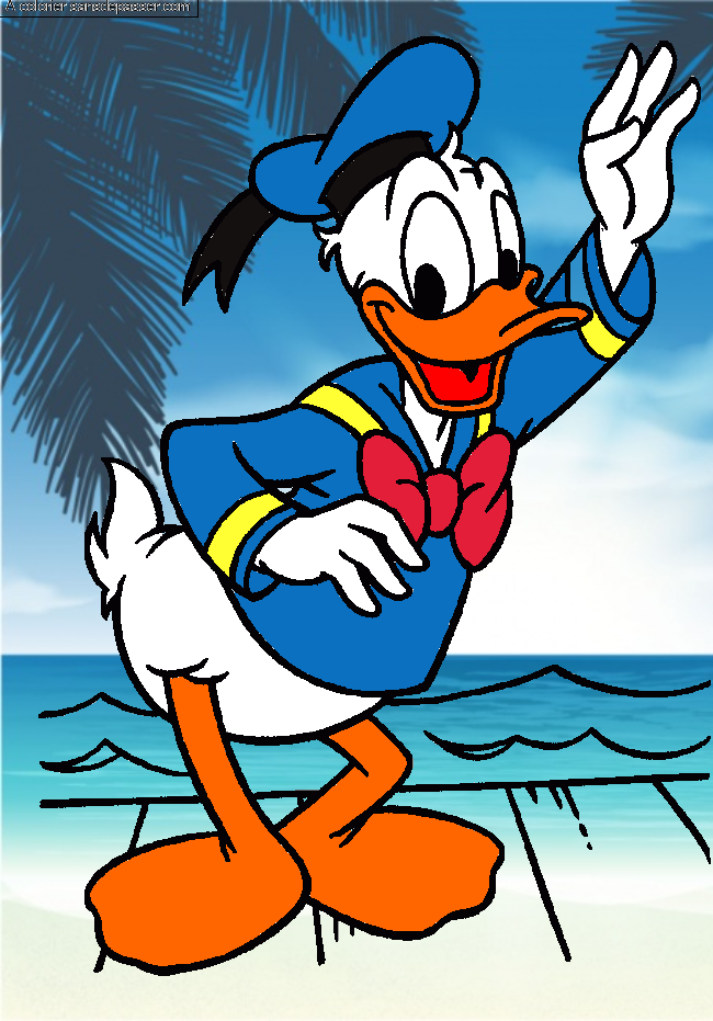 Salut Donald !  par un invit&eacute;