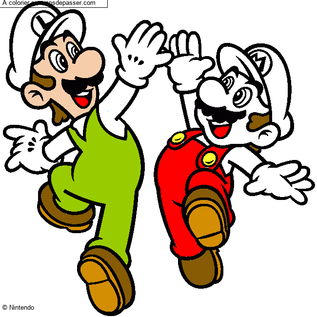 Mario et Luigi par un invit&eacute;