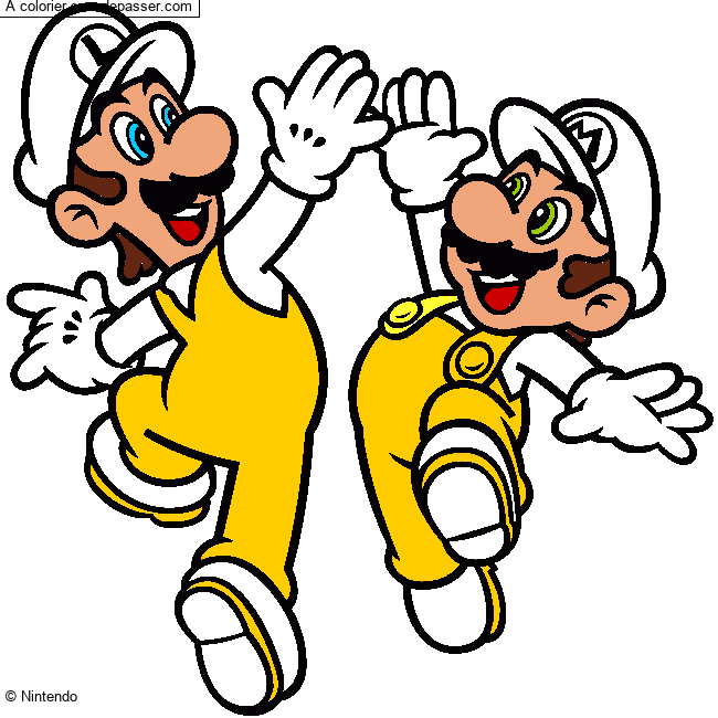 Mario et Luigi par un invit&eacute;