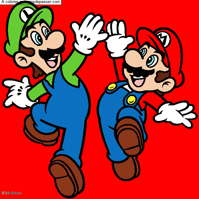 Mario et Luigi par un invit&eacute;