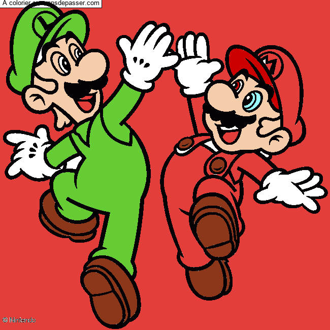 Mario et Luigi par un invit&eacute;