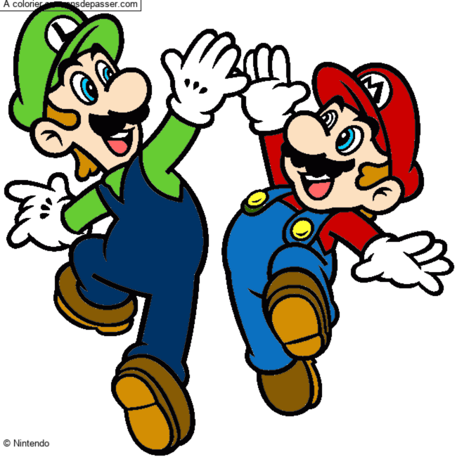Mario et Luigi par un invit&eacute;
