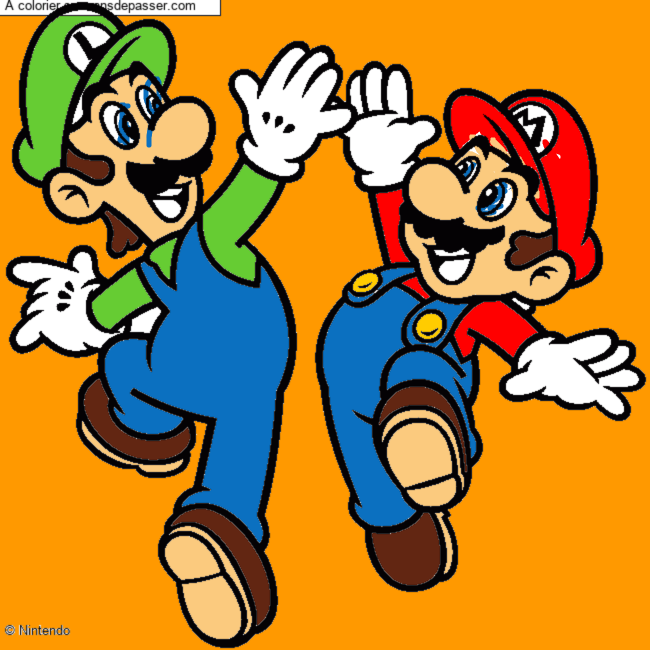 Mario et Luigi par un invit&eacute;
