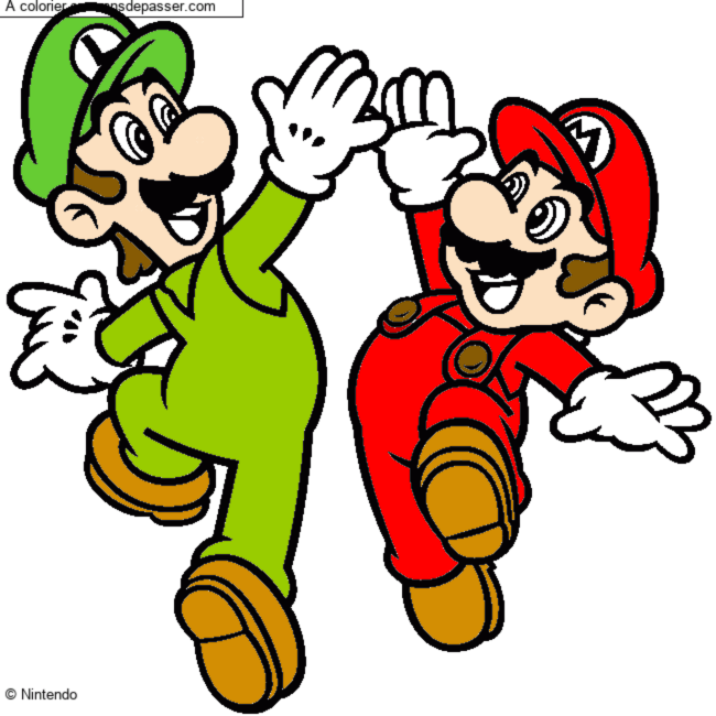 Mario et Luigi par un invit&eacute;