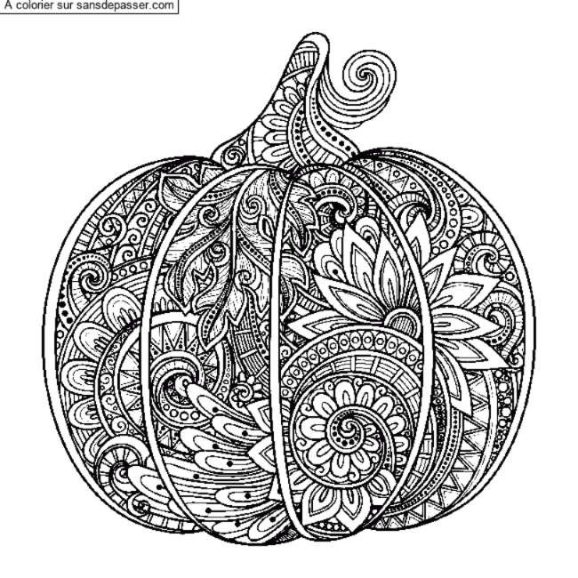 Coloriage Citrouille doodle - Mandala par un invit&eacute;