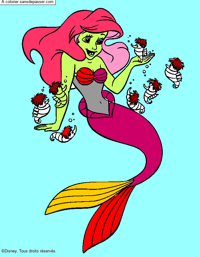 Ariel la petite sirène par un invité