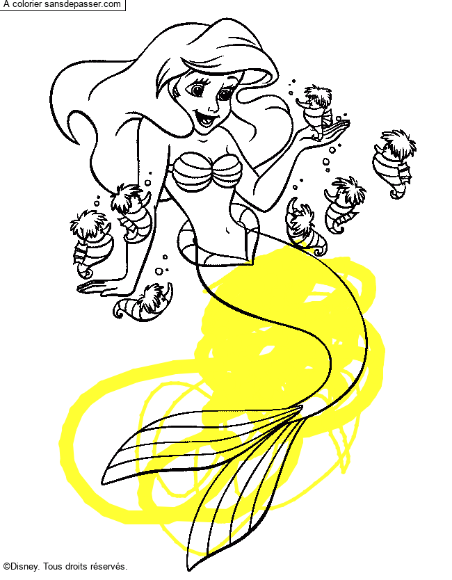Ariel la petite sir&egrave;ne par un invit&eacute;