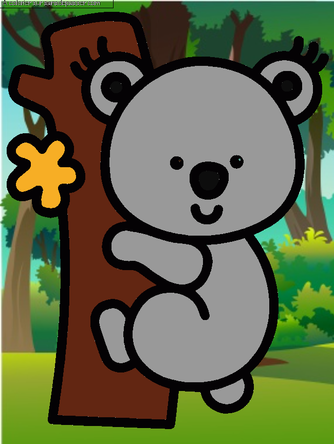 Koala par un invit&eacute;