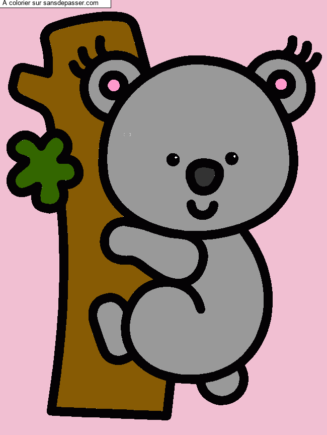 Koala par un invit&eacute;