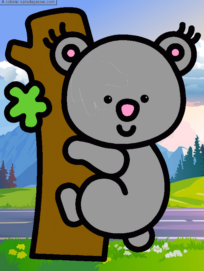 Koala par un invit&eacute;