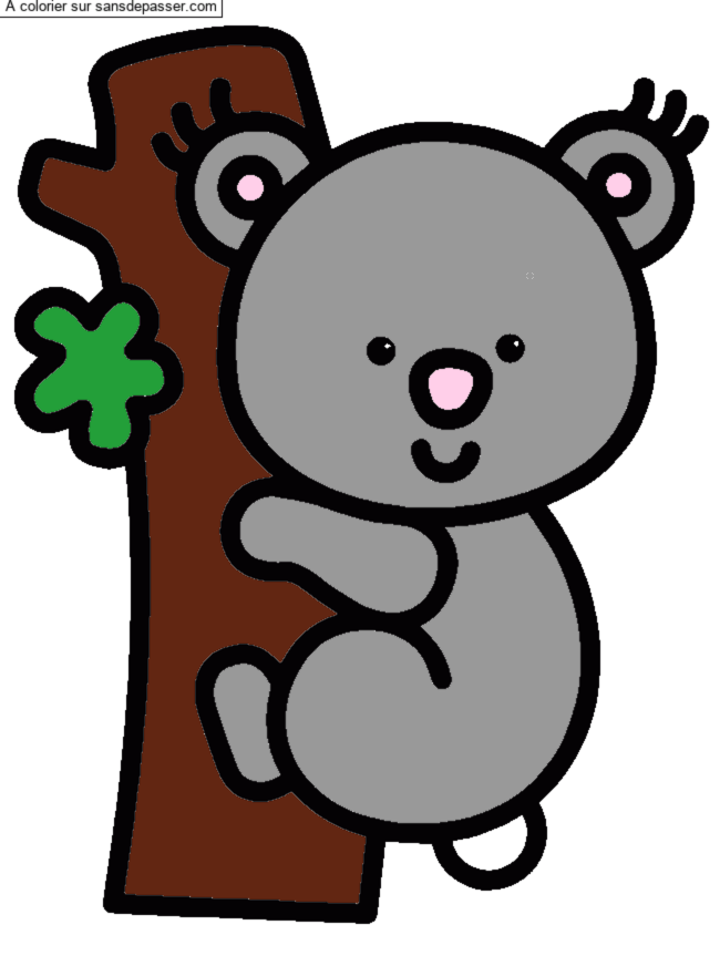 Koala par un invit&eacute;