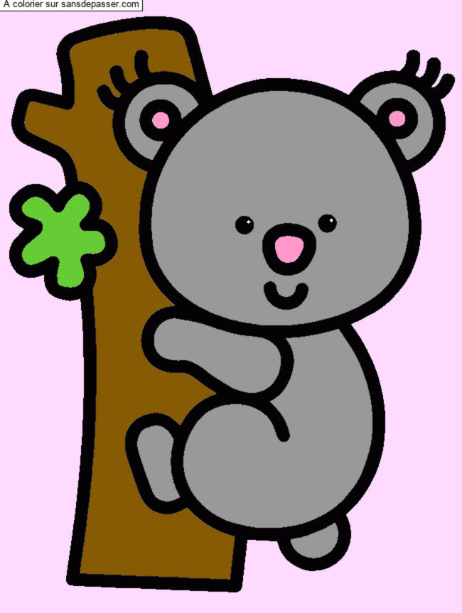 Koala par un invit&eacute;