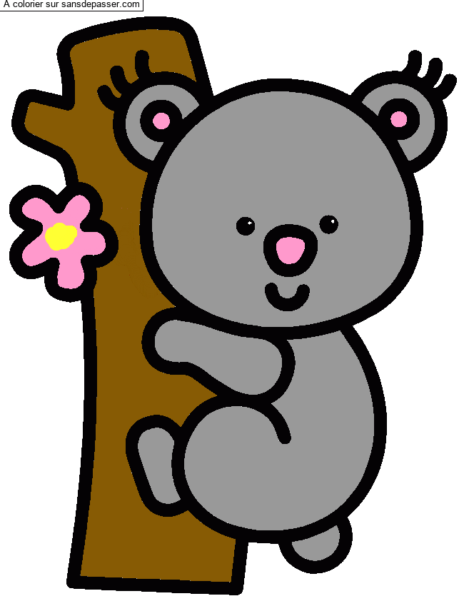 Koala par un invit&eacute;