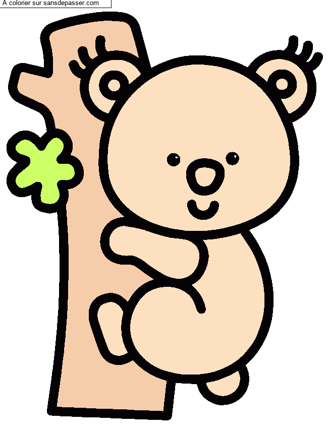 Koala par un invit&eacute;