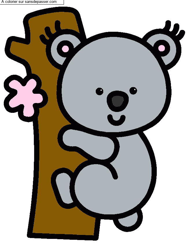 Koala par un invit&eacute;