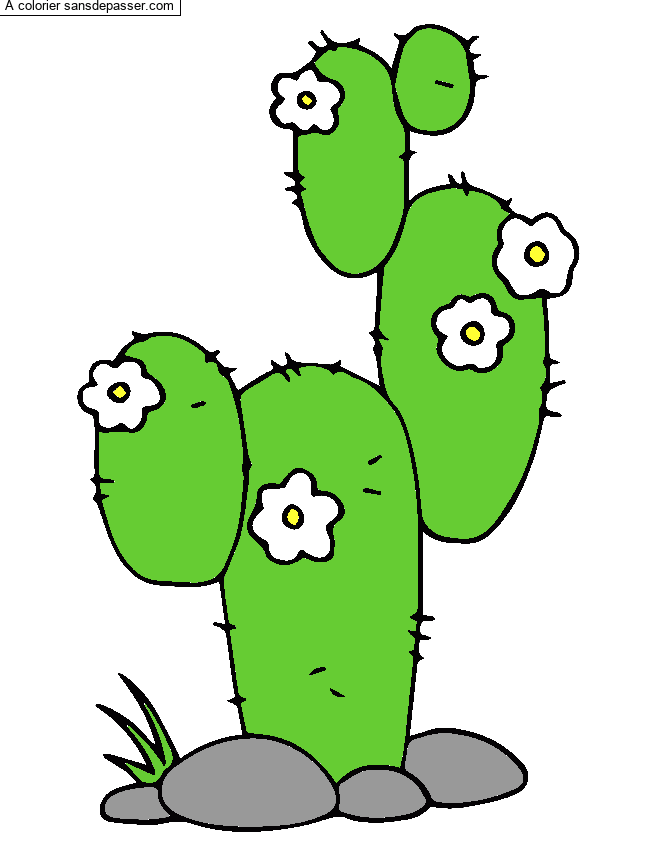 Coloriage Cactus par un invité
