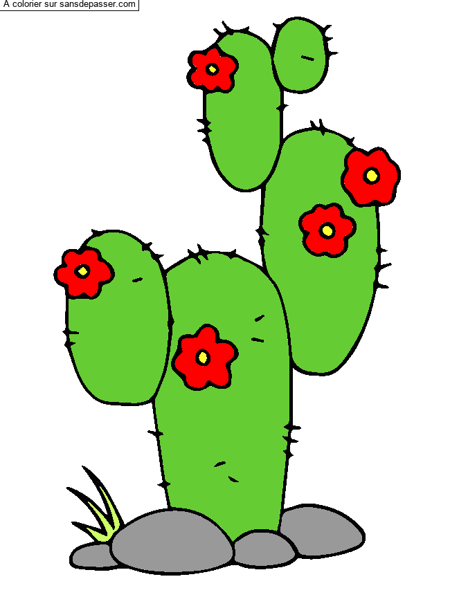 Coloriage Cactus par LEANA