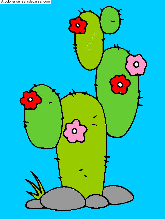 Coloriage Cactus par un invité