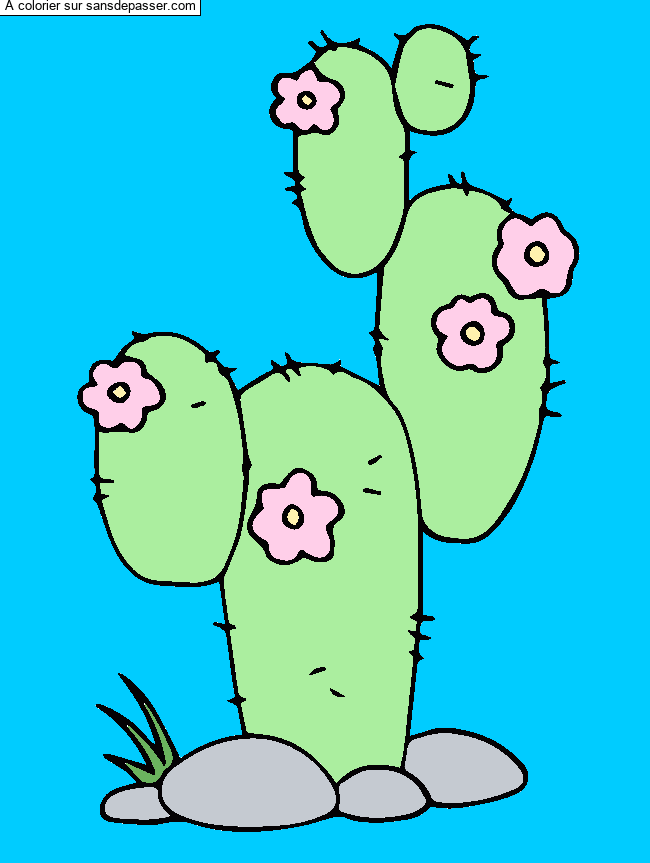 Cactus par cloclo