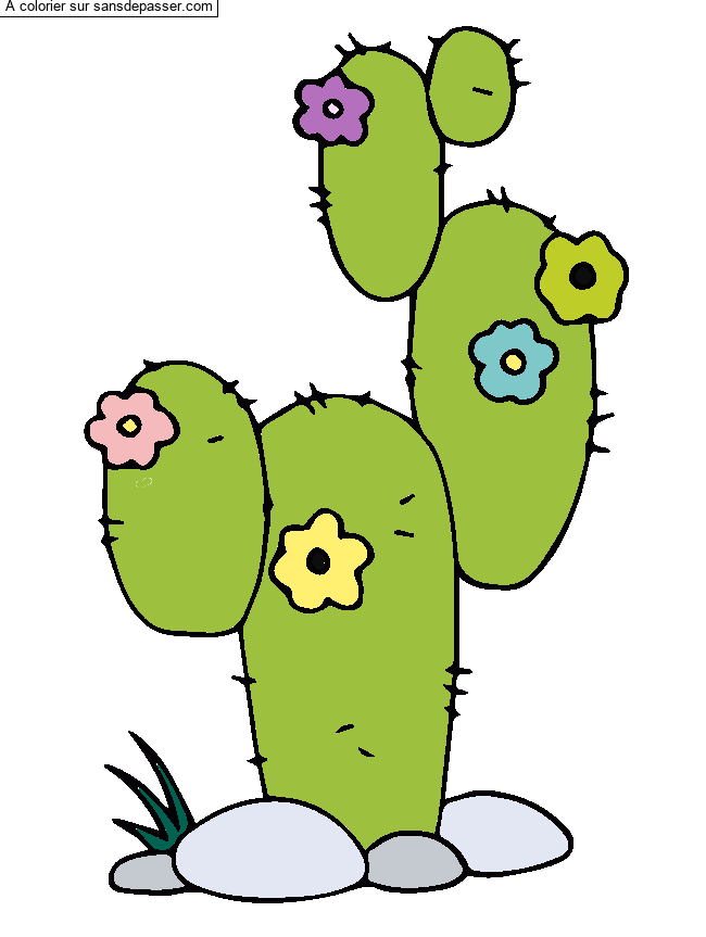 Cactus par un invit&eacute;