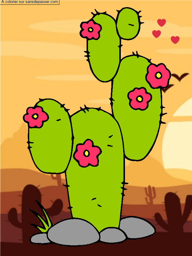 Cactus par un invit&eacute;