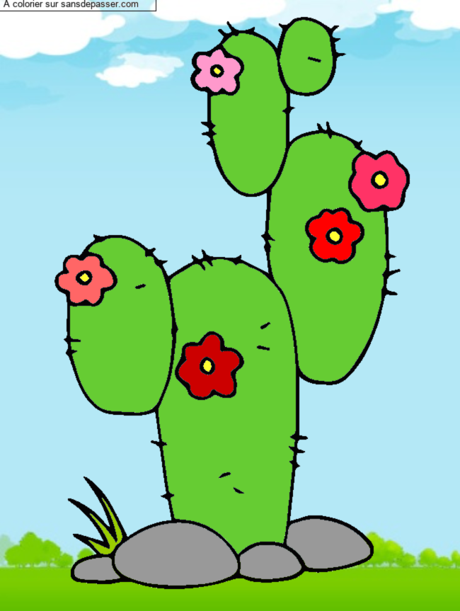 Cactus par un invit&eacute;
