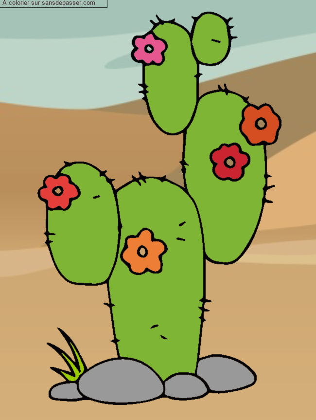 Coloriage Cactus