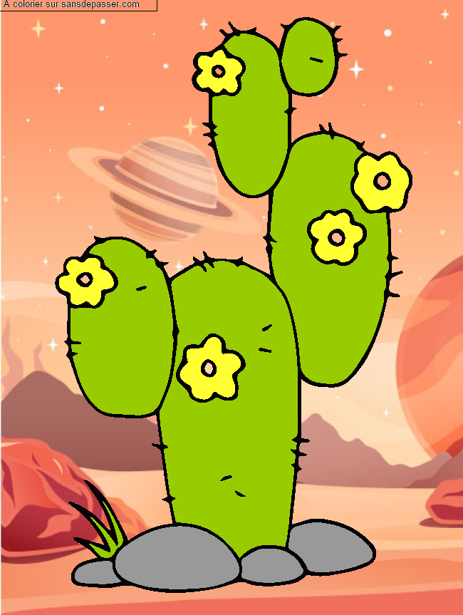 Coloriage Cactus