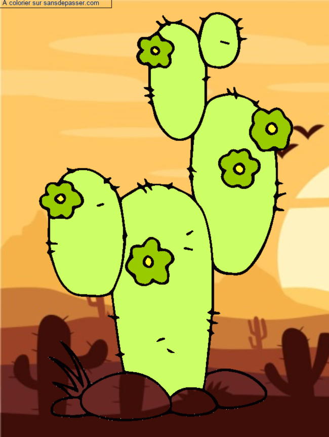 Coloriage Cactus
