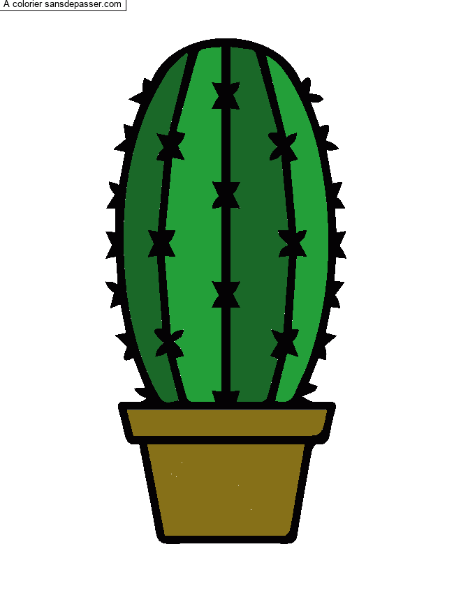 Cactus dans son pot par un invité