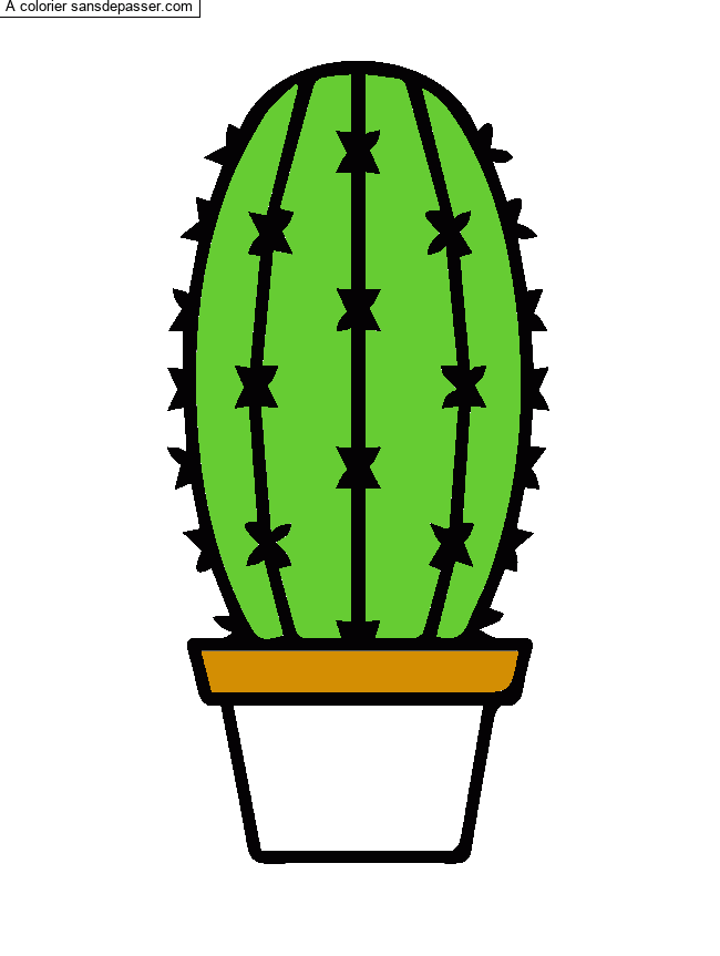 Cactus dans son pot par un invit&eacute;