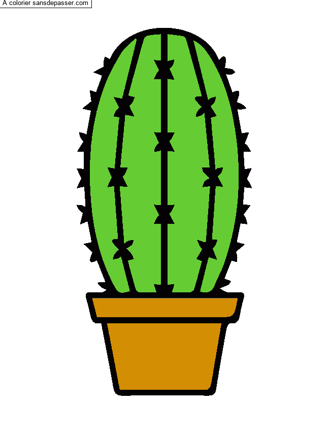 Cactus dans son pot par un invit&eacute;