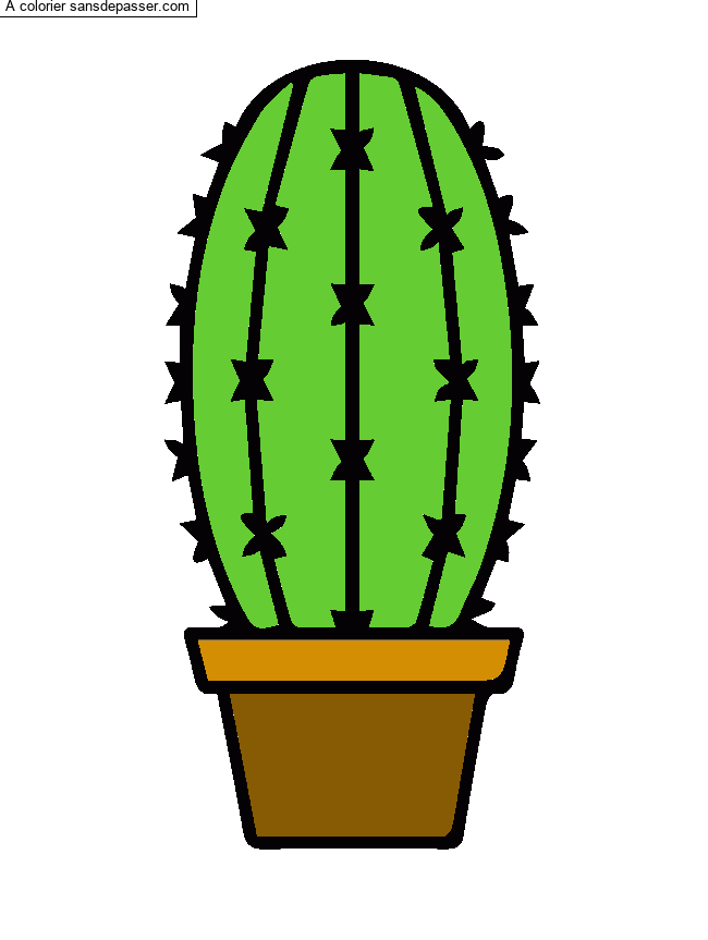 Cactus dans son pot par un invit&eacute;