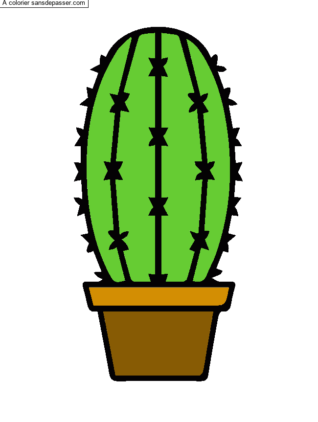 Coloriage Cactus dans son pot par un invité