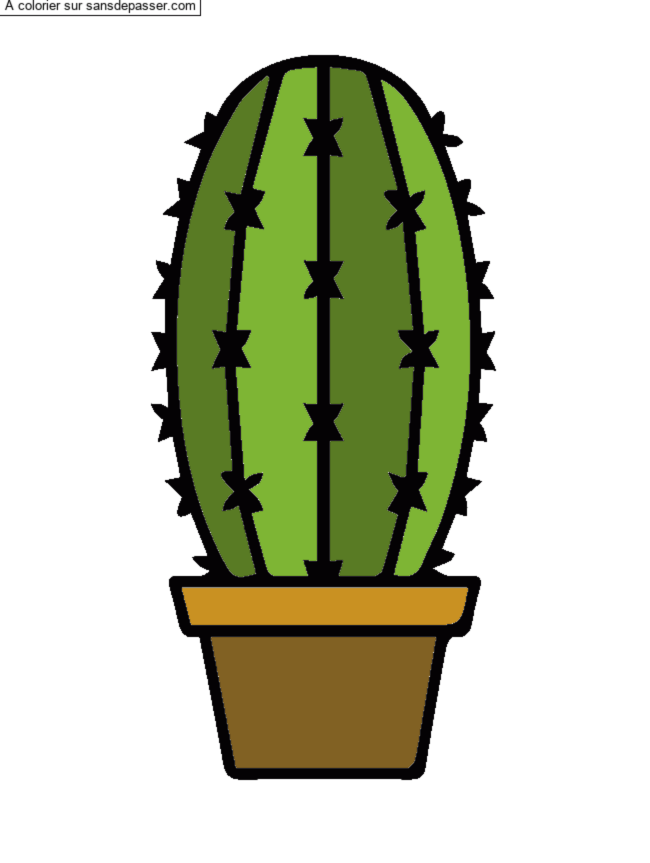 Cactus dans son pot par un invit&eacute;