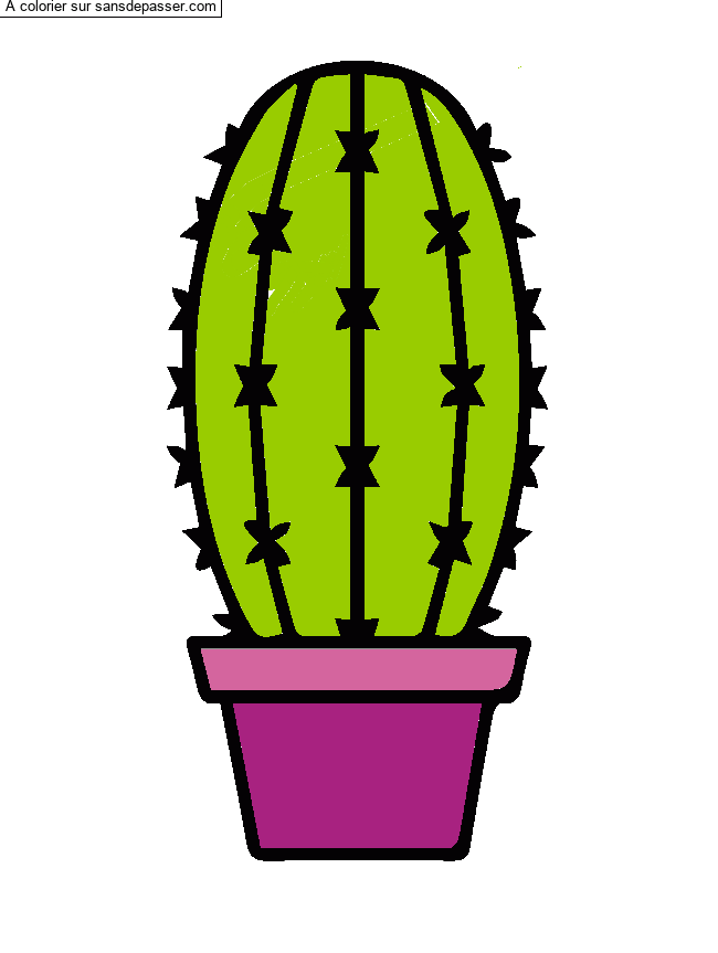 Cactus dans son pot par un invit&eacute;