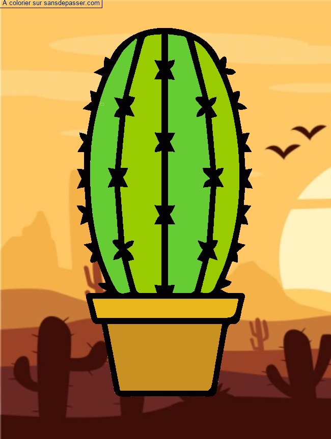 Cactus dans son pot par un invit&eacute;