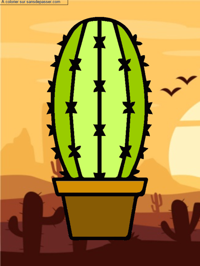 Cactus dans son pot par un invité