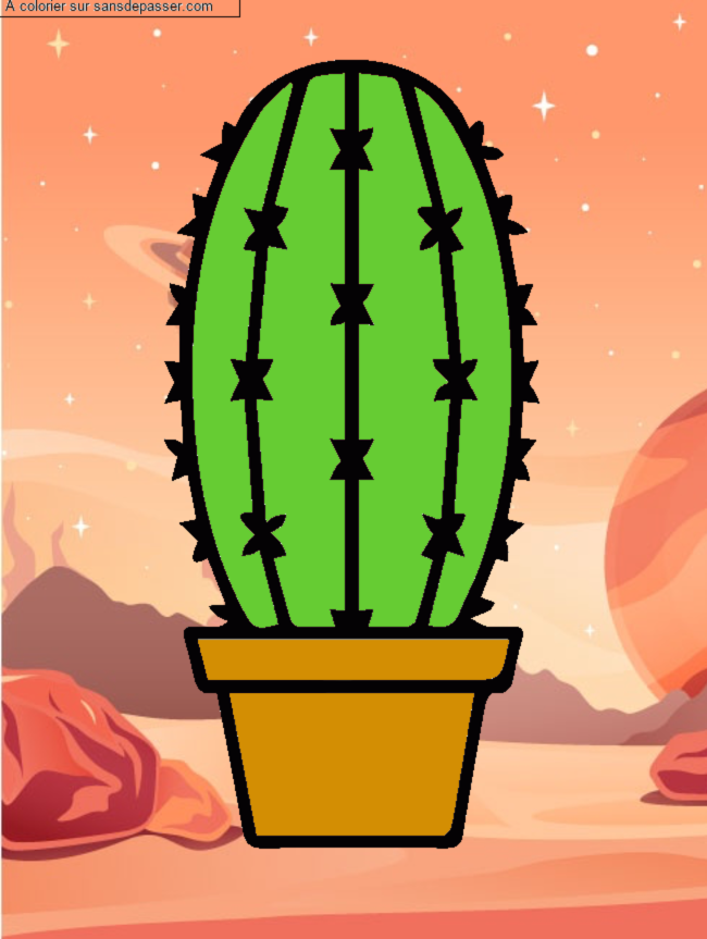 Cactus dans son pot par un invit&eacute;