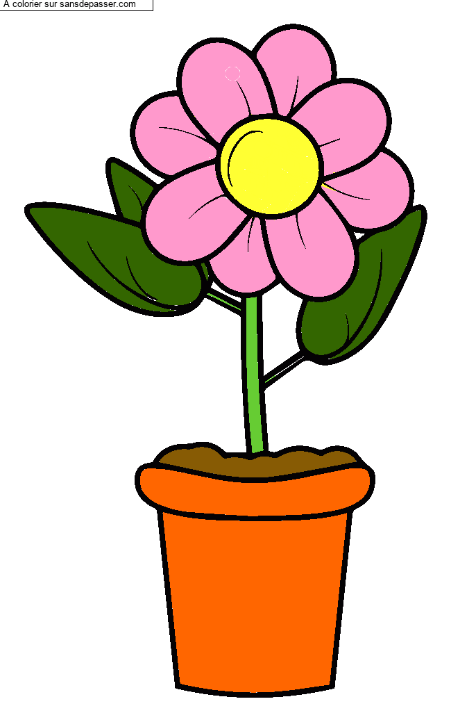 Pot de fleur par un invit&eacute;