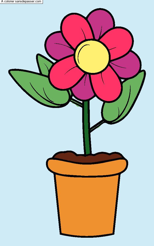 Coloriage Pot de fleur