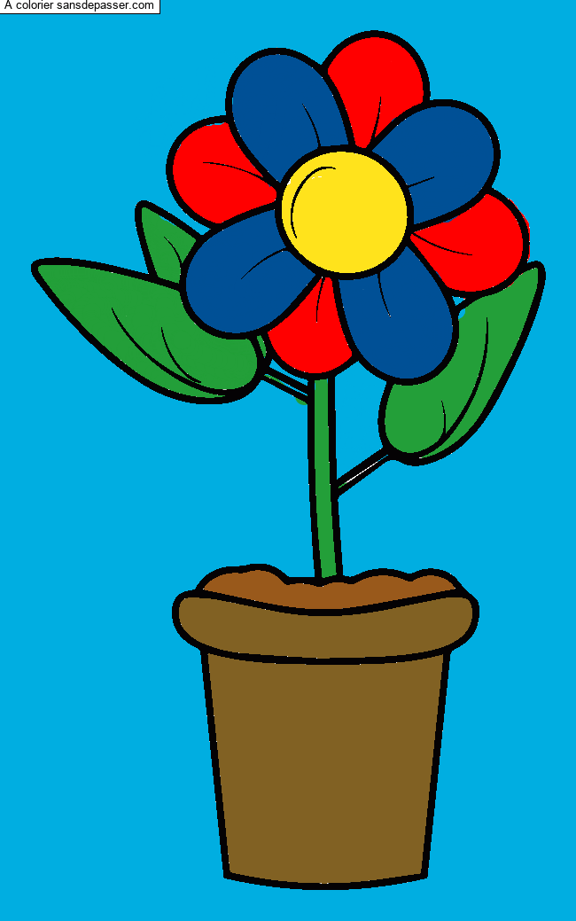 Pot de fleur par un invit&eacute;