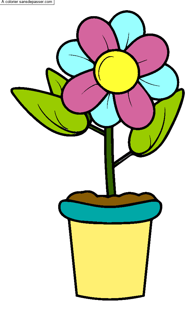 Pot de fleur par un invit&eacute;