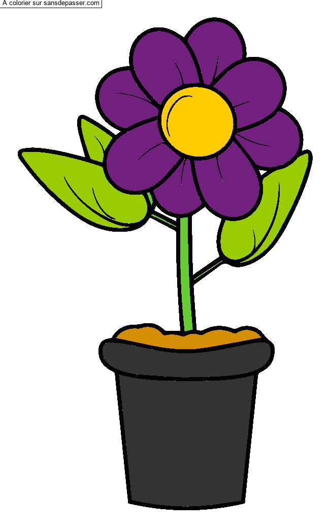 Pot de fleur par un invit&eacute;