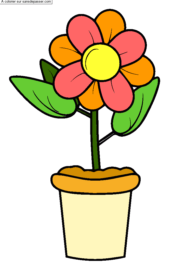 Coloriage Pot de fleur par un invité